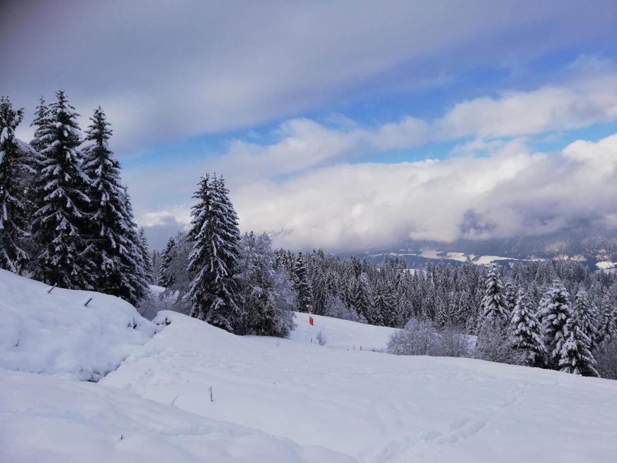 Ferienwohnung Mit Blick Auf Die Buchensteinwand Hochfilzen Exteriör bild